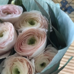 MF5124 - IQ коробка размер M с 9 белыми ранункулюсами и эвкалиптом фото №6 - moscowflorist.ru