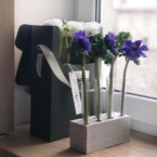 MF5126 - Серия Алхимия с анемонами в IQ коробке фото №3 - moscowflorist.ru