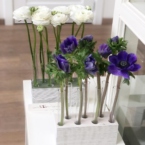 MF5126 - Серия Алхимия с анемонами в IQ коробке фото №4 - moscowflorist.ru