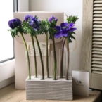 MF5126 - Серия Алхимия с анемонами в IQ коробке фото №5 - moscowflorist.ru