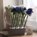 MF5126 - Серия Алхимия с анемонами в IQ коробке фото №6 - moscowflorist.ru