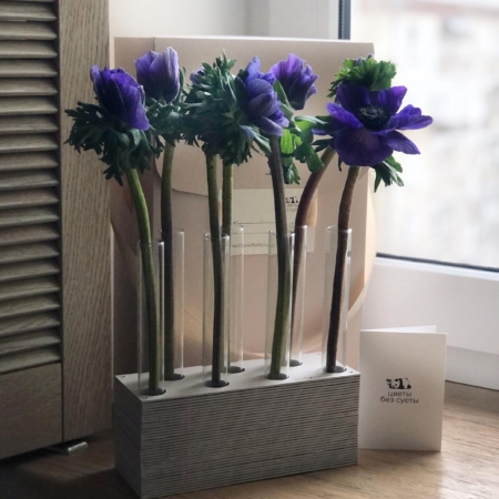 MF5126 - Серия Алхимия с анемонами в IQ коробке - фото moscowflorist.ru