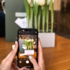 MF5130 - Серия Алхимия с тюльпанами в IQ коробке (цвет в асс.) фото №8 - moscowflorist.ru