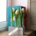 MF5130 - Серия Алхимия с тюльпанами в IQ коробке (цвет в асс.) фото №10 - moscowflorist.ru