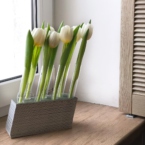 MF5130 - Серия Алхимия с тюльпанами в IQ коробке (цвет в асс.) фото №11 - moscowflorist.ru