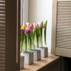 MF5130 - Серия Алхимия с тюльпанами в IQ коробке (цвет в асс.) фото №13 - moscowflorist.ru