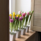 MF5130 - Серия Алхимия с тюльпанами в IQ коробке (цвет в асс.) фото №14 - moscowflorist.ru