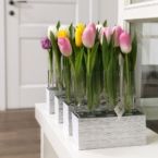 MF5130 - Серия Алхимия с тюльпанами в IQ коробке (цвет в асс.) фото №15 - moscowflorist.ru