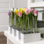 MF5130 - Серия Алхимия с тюльпанами в IQ коробке (цвет в асс.) фото №6 - moscowflorist.ru