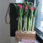 MF5130 - Серия Алхимия с тюльпанами в IQ коробке (цвет в асс.) фото №3 - moscowflorist.ru