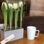 MF5130 - Серия Алхимия с тюльпанами в IQ коробке (цвет в асс.) фото №7 - moscowflorist.ru