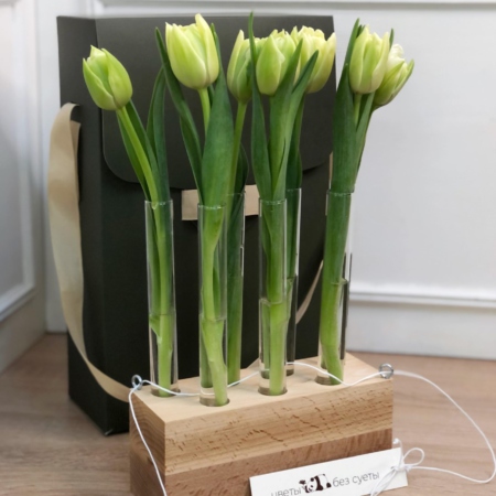MF5130 - Серия Алхимия с тюльпанами в IQ коробке (цвет в асс.) - фото moscowflorist.ru