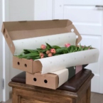 k5529 - Фирменный кейс с 35 тюльпанами в асс. (от 5 шт.) картинка №3 - moscowflorist.ru k5529 - Фирменный кейс с 35 тюльпанами в асс. (от 5 шт.) фото №3 - moscowflorist.ru