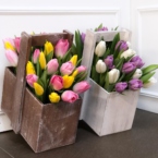 MF7044 - Деревянный ящик с тюльпанами в асс.  фото №1 - moscowflorist.ru