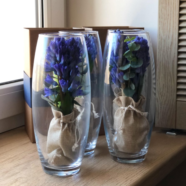 k5836 - Композиция из 3х гиацинтов в стеклянной вазе (от 10 шт.) фото - moscowflorist.ru