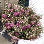 MF1138 - Букет из 35 тюльпанов и ароматной генисты (в асс.) фото №2 - moscowflorist.ru