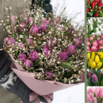 MF1138 - Букет из 35 тюльпанов и ароматной генисты (в асс.) фото №1 - moscowflorist.ru