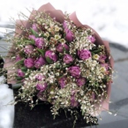 MF1138 - Букет из 35 тюльпанов и ароматной генисты (в асс.) фото №3 - moscowflorist.ru