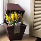 MF8104 - Серия коробок Panda Bowl с тюльпанами в асс.  фото №13 - moscowflorist.ru