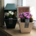 MF8104 - Серия коробок Panda Bowl с тюльпанами в асс.  фото №4 - moscowflorist.ru