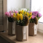 MF8104 - Серия коробок Panda Bowl с тюльпанами в асс.  фото №15 - moscowflorist.ru