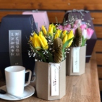 MF8104 - Серия коробок Panda Bowl с тюльпанами в асс.  фото №5 - moscowflorist.ru