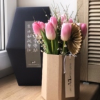 MF8104 - Серия коробок Panda Bowl с тюльпанами в асс.  фото №11 - moscowflorist.ru