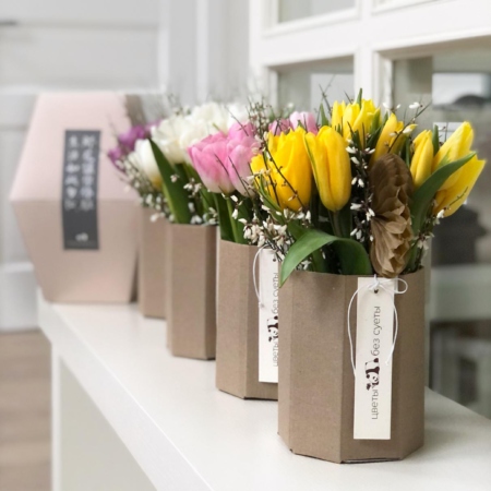 MF8104 - Серия коробок Panda Bowl с тюльпанами в асс.  - фото moscowflorist.ru