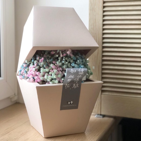 k8103 - Серия коробок Panda Bowl с радужной гипсофилой (от 5 шт.) - фото moscowflorist.ru