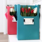 k5103 - Коробка IQ размер M с тюльпанами в асс. (от 5 шт.) картинка №2 - moscowflorist.ru k5103 - Коробка IQ размер M с тюльпанами в асс. (от 5 шт.) фото №2 - moscowflorist.ru