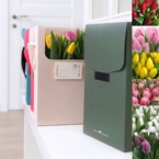 k5103 - Коробка IQ размер M с тюльпанами в асс. (от 5 шт.) картинка №1 - moscowflorist.ru k5103 - Коробка IQ размер M с тюльпанами в асс. (от 5 шт.) фото №1 - moscowflorist.ru