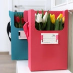 k5103 - Коробка IQ размер M с тюльпанами в асс. (от 5 шт.) картинка №3 - moscowflorist.ru k5103 - Коробка IQ размер M с тюльпанами в асс. (от 5 шт.) фото №3 - moscowflorist.ru