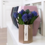 MF8105 - Фирменная коробка Panda Bowl с гиацинтами фото №4 - moscowflorist.ru