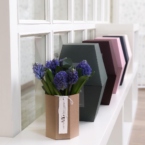 MF8105 - Фирменная коробка Panda Bowl с гиацинтами фото №3 - moscowflorist.ru