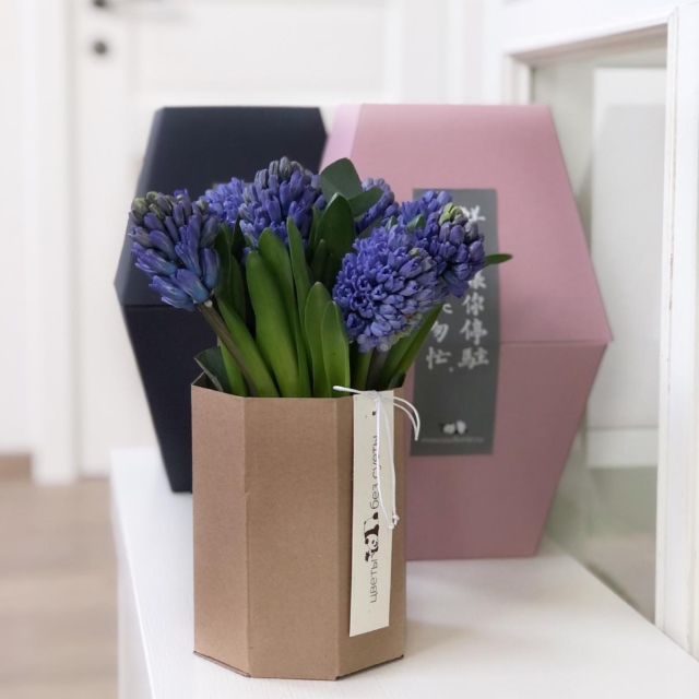 MF8105 - Фирменная коробка Panda Bowl с гиацинтами фото - moscowflorist.ru