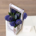 MF7048 - Деревянный ящик с синими гиацинтами фото №3 - moscowflorist.ru