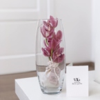 MF5849 - Ваза с Мини-орхидеей в фирменной коробке фото №6 - moscowflorist.ru