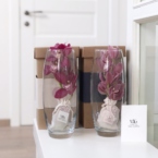 MF5849 - Ваза с Мини-орхидеей в фирменной коробке фото №3 - moscowflorist.ru