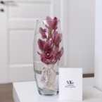 MF5849 - Ваза с Мини-орхидеей в фирменной коробке фото №7 - moscowflorist.ru