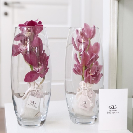 MF5849 - Ваза с Мини-орхидеей в фирменной коробке - фото moscowflorist.ru