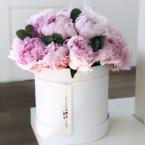 MF0575 - Белая шляпная коробка с пионами фото №1 - moscowflorist.ru