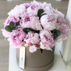 MF0577 - Бежевая круглая коробка с махровыми пионами фото №1 - moscowflorist.ru