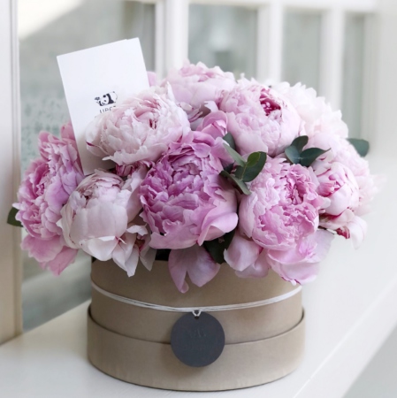 MF0577 - Бежевая круглая коробка с махровыми пионами - фото moscowflorist.ru