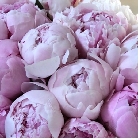 MF0697 - Зеленая фирменная сумка-коробка с розовыми пионами - фото moscowflorist.ru