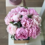 MF5850 - Фирменная коробка с 9 пионами картинка №3 - moscowflorist.ru MF5850 - Фирменная коробка с 9 пионами фото №3 - moscowflorist.ru