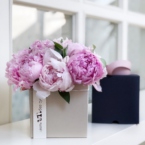 MF5850 - Фирменная коробка с 9 пионами картинка №1 - moscowflorist.ru MF5850 - Фирменная коробка с 9 пионами фото №1 - moscowflorist.ru