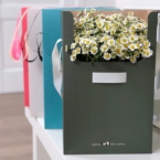 MF5134 - Серия коробок IQ M с кустовыми ромашками картинка №5 - moscowflorist.ru MF5134 - Серия коробок IQ M с кустовыми ромашками фото №5 - moscowflorist.ru