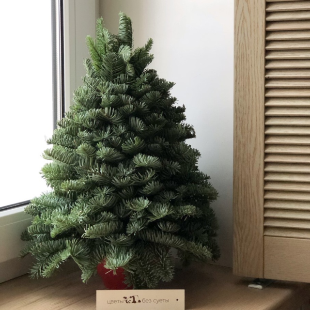 MF3039 - Елочка из нобилиса Nature фото - moscowflorist.ru