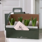 MF5225 - Цветочный чемоданчик с луковичными гиацинтами фото №3 - moscowflorist.ru