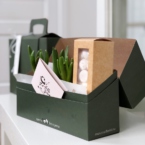 MF5225 - Цветочный чемоданчик с луковичными гиацинтами фото №5 - moscowflorist.ru